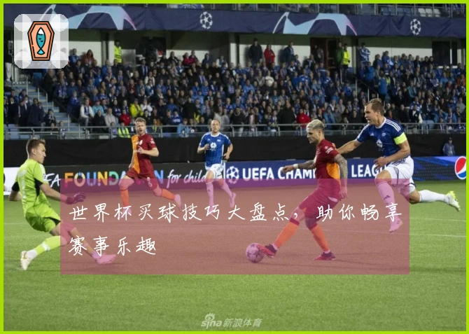 世界杯买球技巧大盘点，助你畅享赛事乐趣