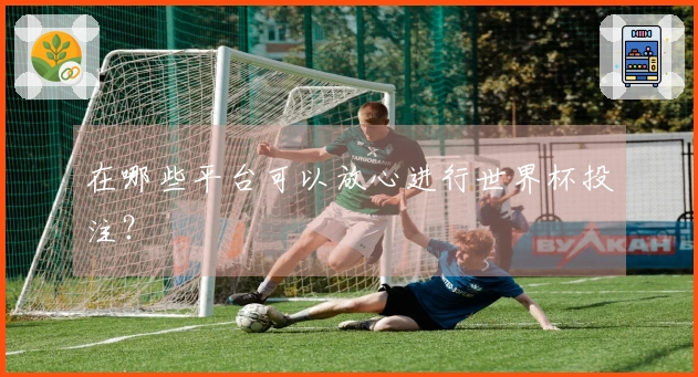在哪些平台可以放心进行世界杯投注？
