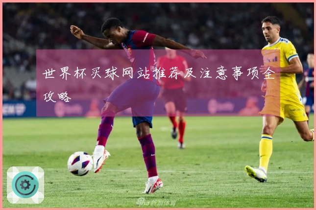世界杯买球网站推荐及注意事项全攻略
