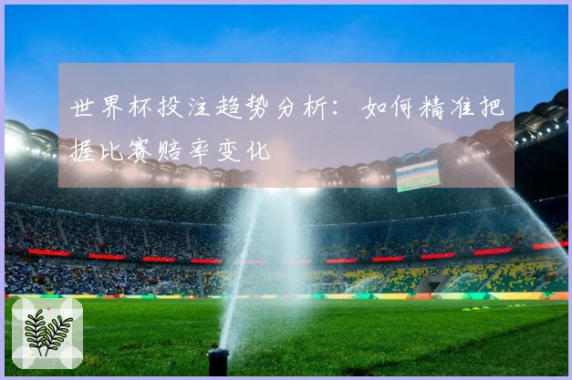 世界杯投注趋势分析：如何精准把握比赛赔率变化