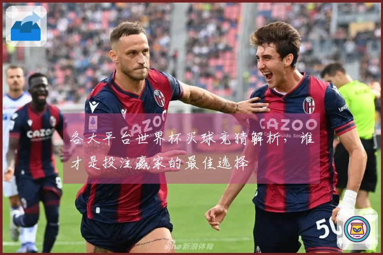 各大平台世界杯买球竞猜解析，谁才是投注赢家的最佳选择